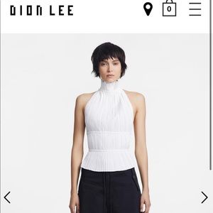 Worn ONCE Dion Lee Channel Pleated Top